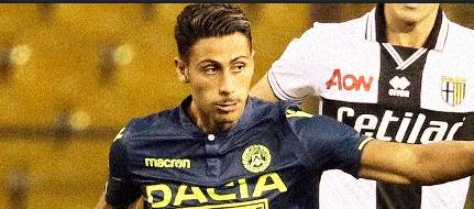 球迷们可以 球迷们可以