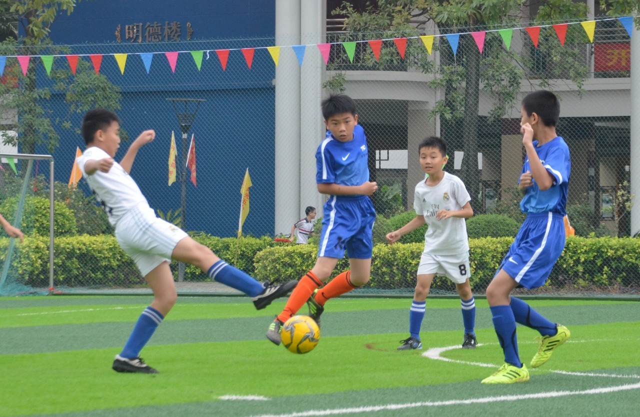 并非完全因 并非完全因